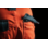 Warnschutz Winter Bundhose Neon EN 20471 2 orange anthrazit
