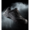 Sicherheitsschuhe S3 Taurus schwarz