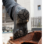Sicherheitsstiefel S3 Taurus schwarz