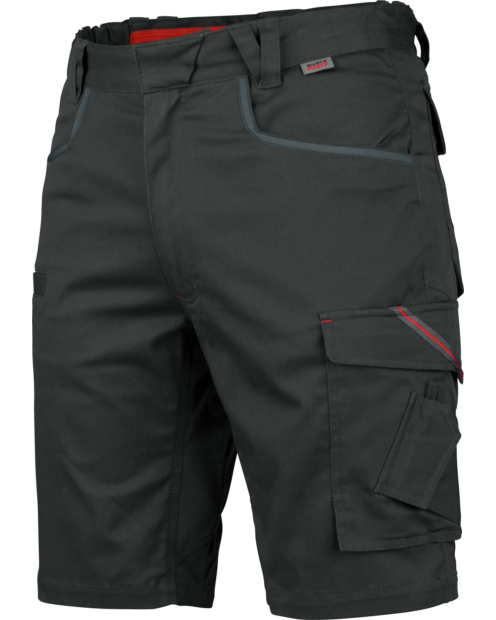 Arbeitsshorts Stretch X anthrazit